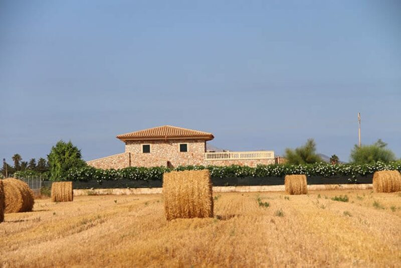 Mallorca countryside