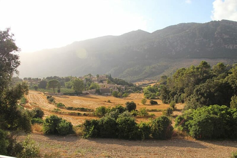 Mallorca landscape