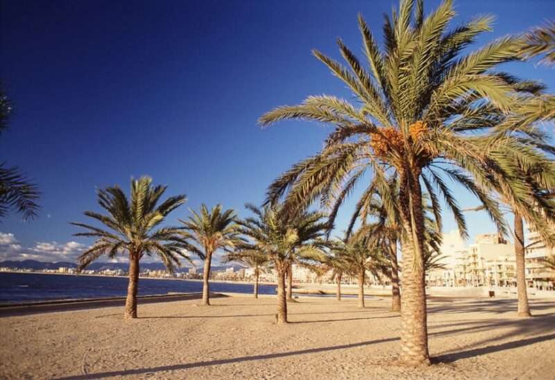 Mallorca beach