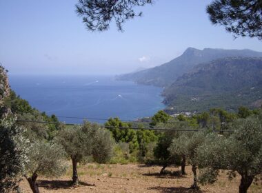 Mallorca view