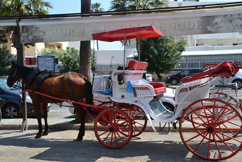 Mallorca horse taxi
