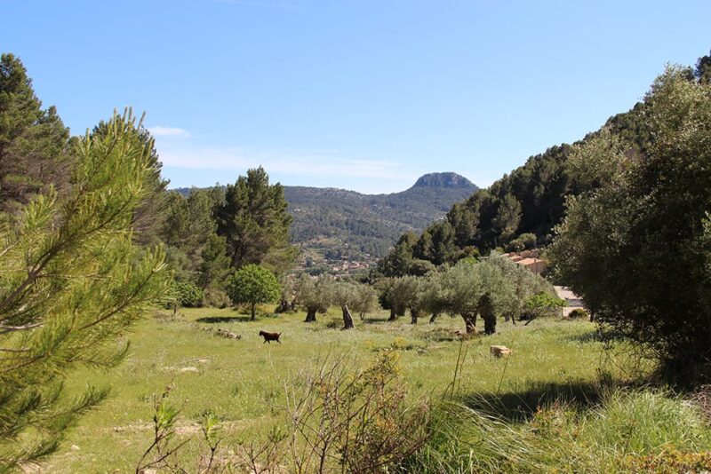 Mallorca view